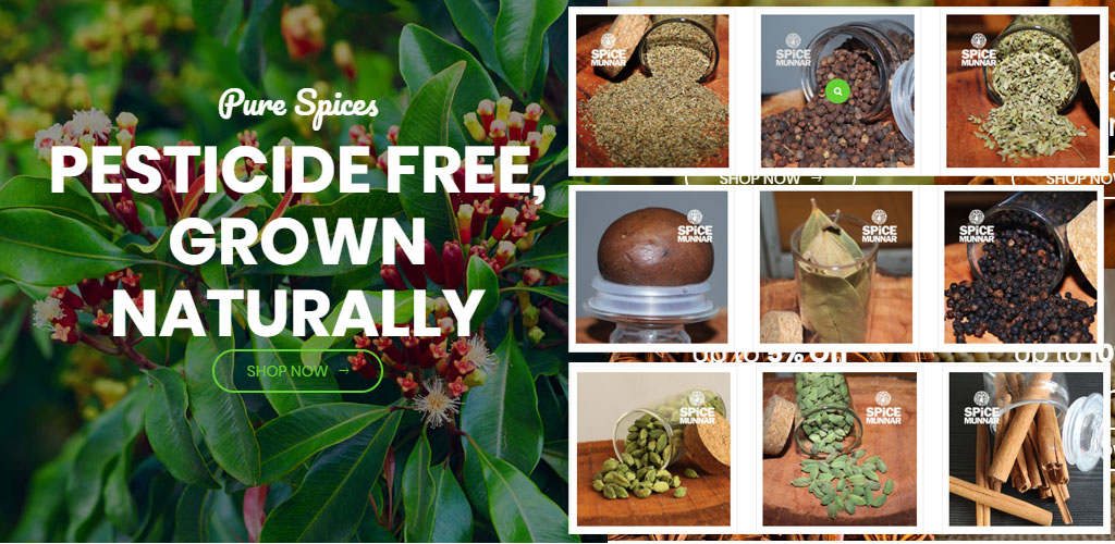 spice-munnar-online-spice-selling-website