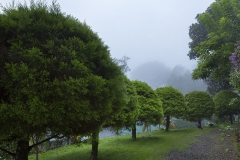 resort-plantation