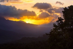 evening-munnar