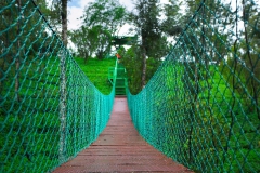 hanging-bridge-munnar