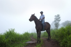 jorse-riding-munnar