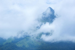munnar-hills