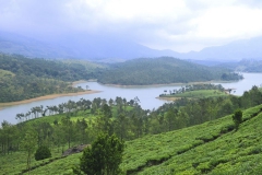 munnar