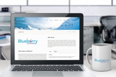 Blueberry guideline