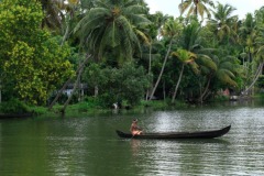 alleppey_backwaters