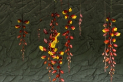 munnar-flowers
