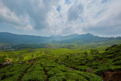 munnar