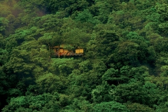 Vythiri-Resort-Tree-House-Exterior