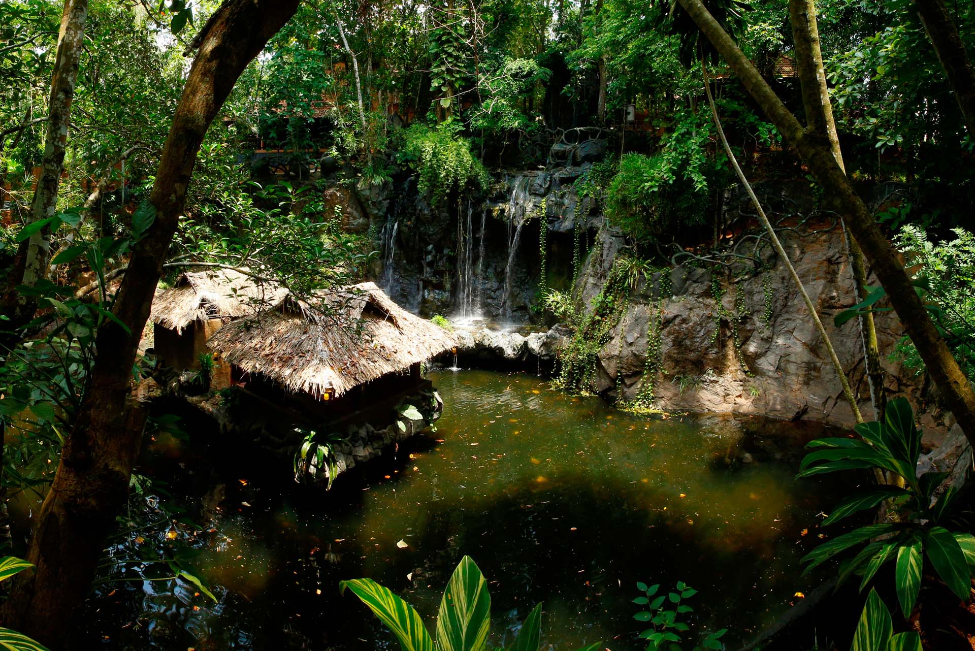 RainForest Ayur Resort