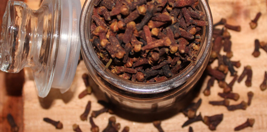 clove-spices-of-kerala