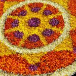 onam-festivels-of-kerala