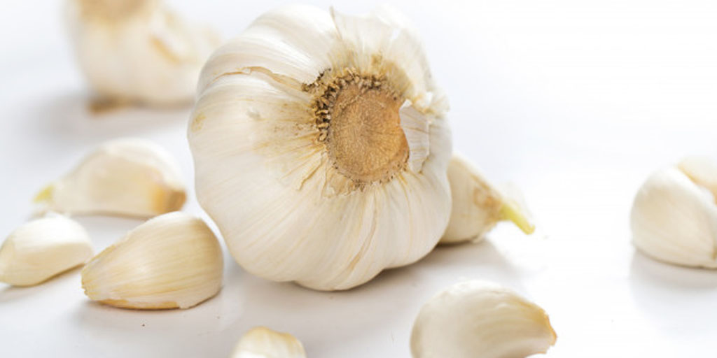 garlic-herbs-to-boost-immunity