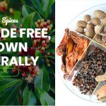 best-3-spice-selling-websites