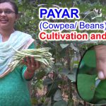 payar-krishi-kerala