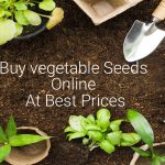 buy-veg-seeds-online