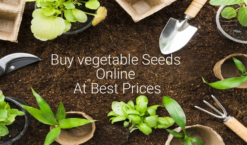 Buy vegetable Seeds Online At Best Prices - Live Kerala