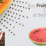 best fruit seeds online kerala