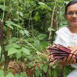 Top-20-Agriculture-krishi-videos