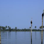 alleppey-backwaters