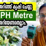 soil-ph-meter-soil-ph-testing