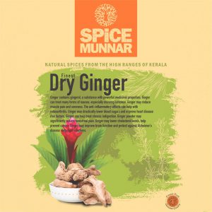 10-best-spices-of-munnar-allspice-Dry-ginger-sticker-front-view