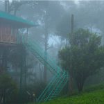 Best Honeymoon Resort in Munnar
