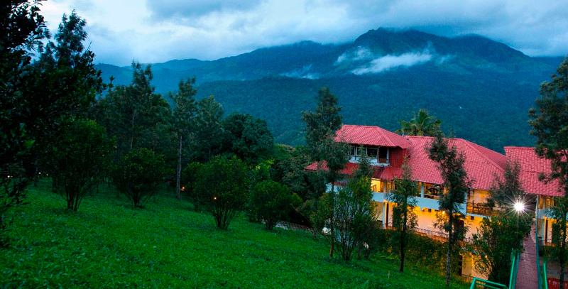 Best Honeymoon Resort in Munnar