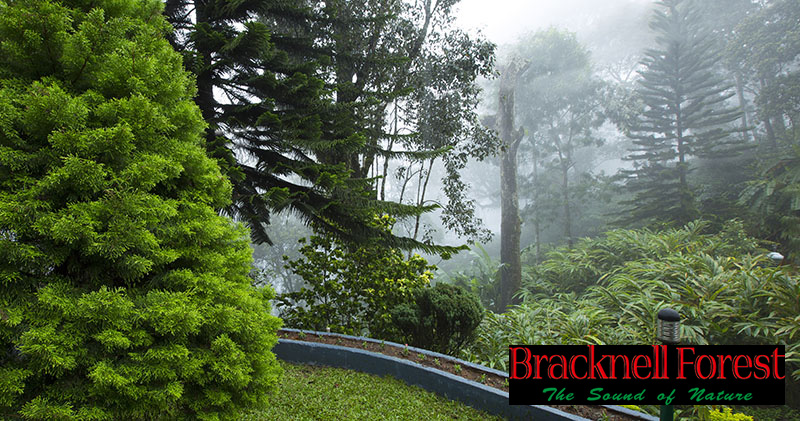 Bracknel-forest-resort-