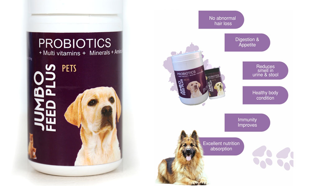 Jumbo-Feedplus-Supplements for Senior Dogs