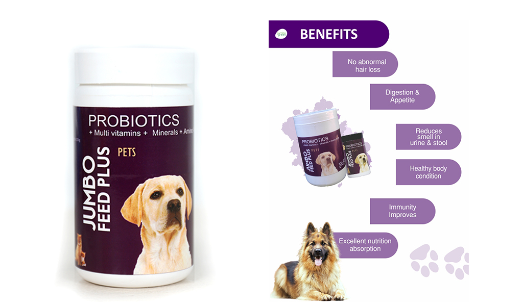 jumbo-feed-plus-pets-probiotics