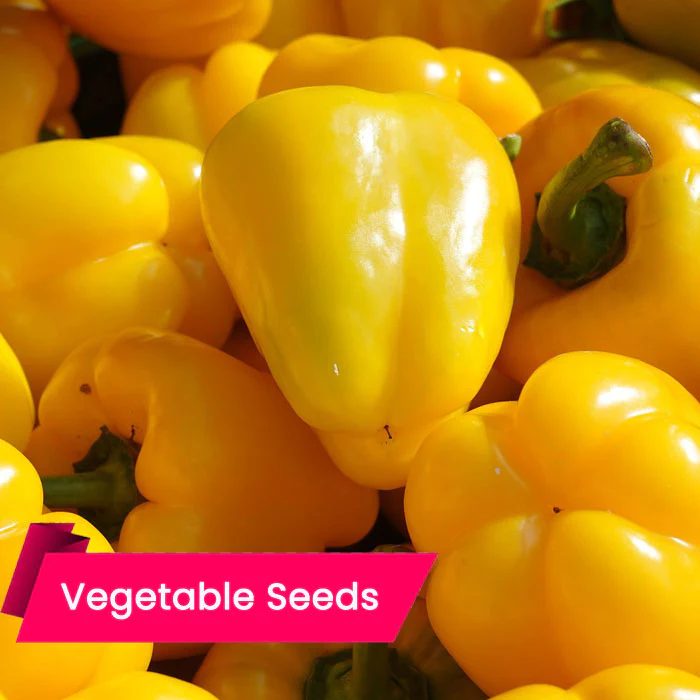 5 Healthy Vegetables A Step by Step Introduction to Cultivating ...