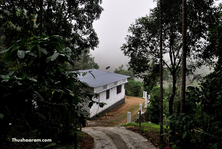 Best Homestay in kuttikkanam, idukki - Thushaaram - LiveKerala