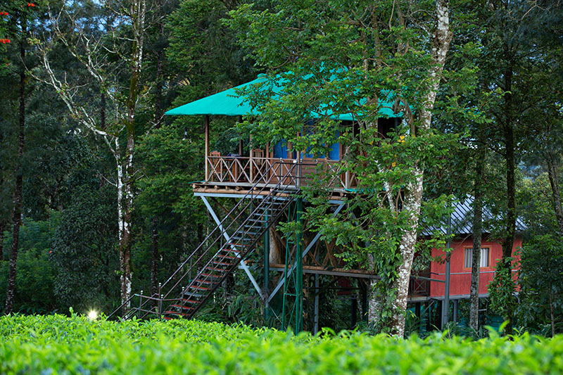 Dream Catcher Plantation Resort - Honeymoon Packages - Live Kerala