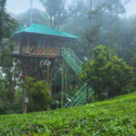 best resort in munnar