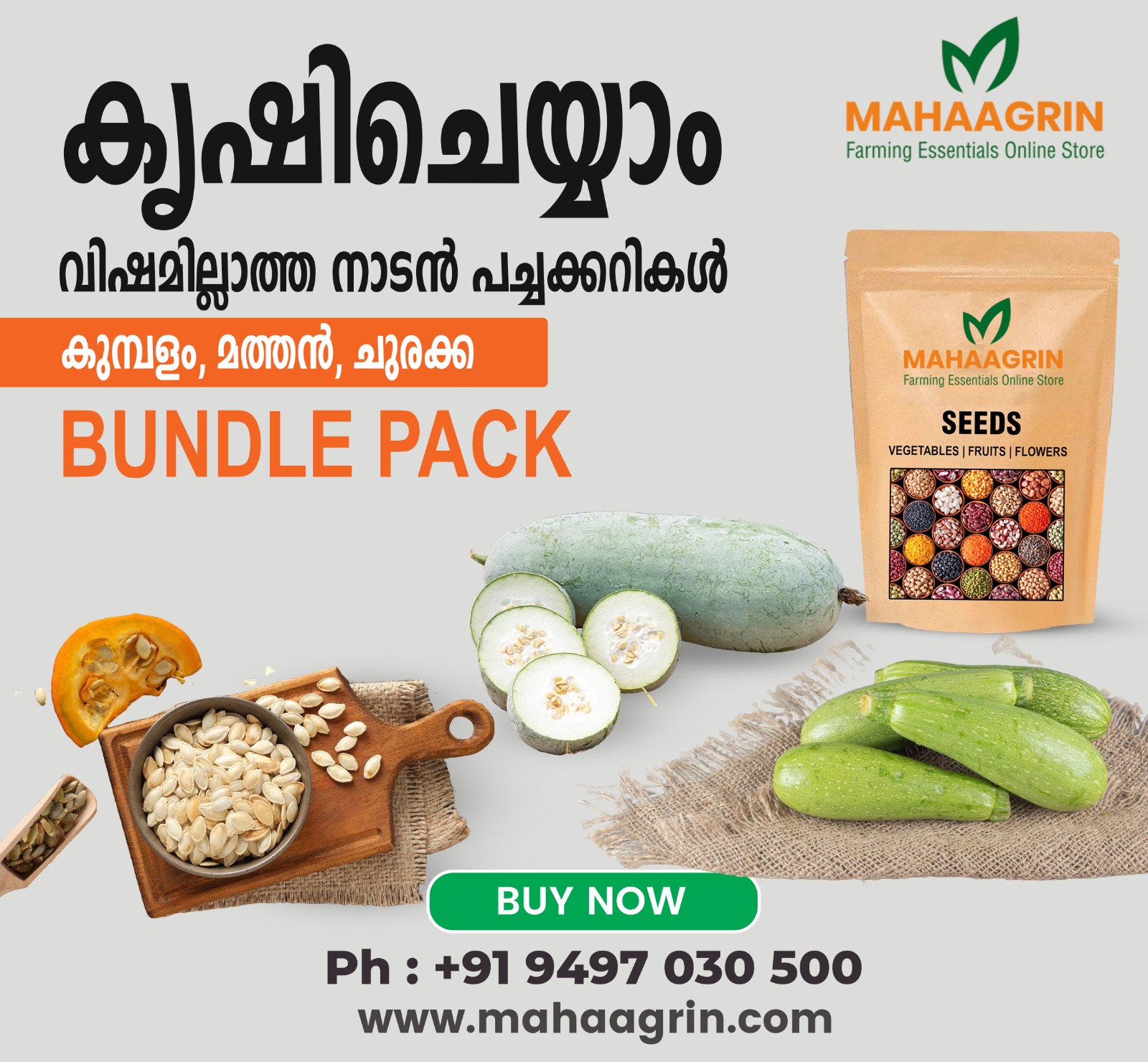 When is The Best Time to Plant Vegetable Seeds? - Live Kerala