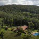 Best Resort in Chikmagalur