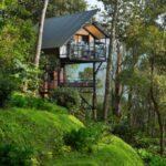 Best Tree house in Munnar