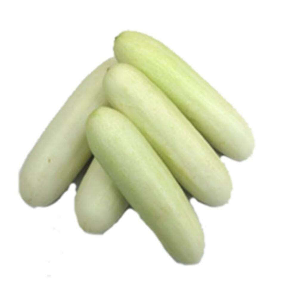 white cucumber - kakkidi