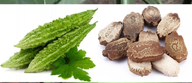 buy bitter gourd seeds