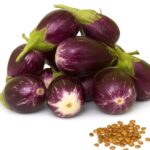 brinjal black beauty vegetabel seeds