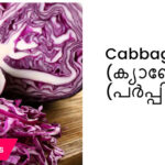 Buy Cabbage Purple Seeds