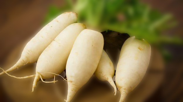 Buy Radish seeds online