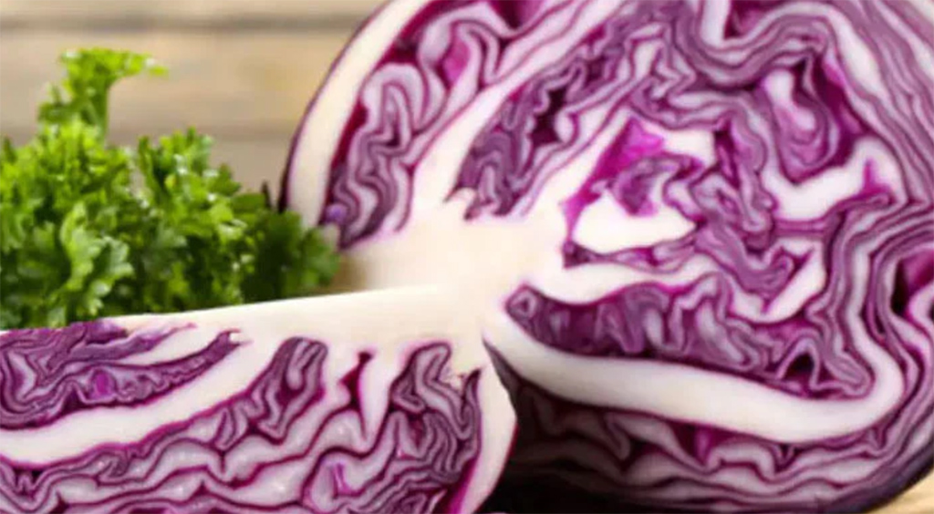 Purple cabbage seeds ; winter vegetable seeds organic vegetable seeds