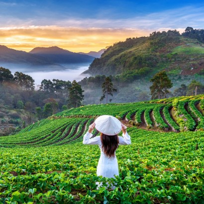 Scenic view of Munnar hills included in TravelNote’s Kerala tour package, featuring lush tea gardens and misty valleys.