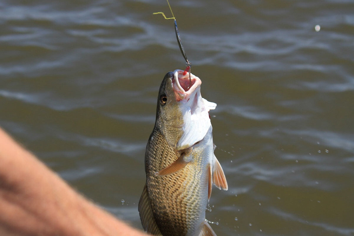 Guest fishing in a serene private pond at Foggy Knolls resort in Vagamon.