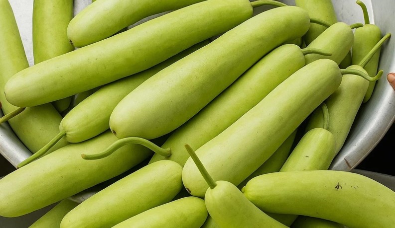 bottle-gourd-an-easy-to-cultivate-vegetable; buy bottle gourd seeds