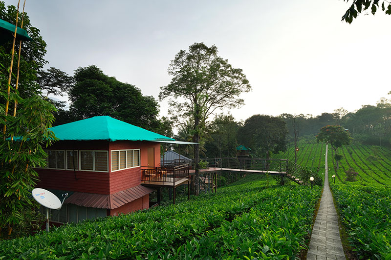 reamcatcher-plantation-resort-munnar