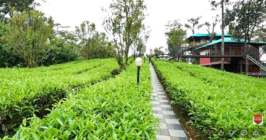 dreamcatcher-plantation-resort-munnar-18