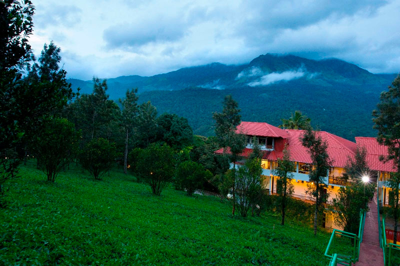 dreamcatcher-plantation-resort-munnar-