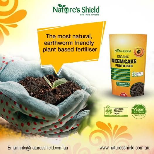 Organic neem cake fertiliser in a bowl showing nutrient-rich natural compost for sustainable farming.